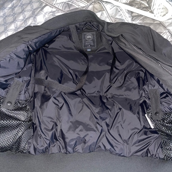 Canada goose - Picture 4 of 6